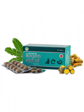 Ilogen Excel Tablets - Ayurvedic Medicine For Diabetes Mellitus