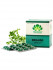 Brahmi Capsules - Ayurvedic Medicine For Memory Improvement